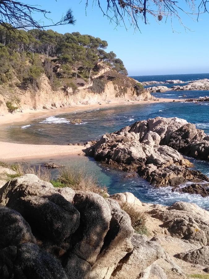 Hotel Mas Del Sol Vall-llobrega Kültér fotó