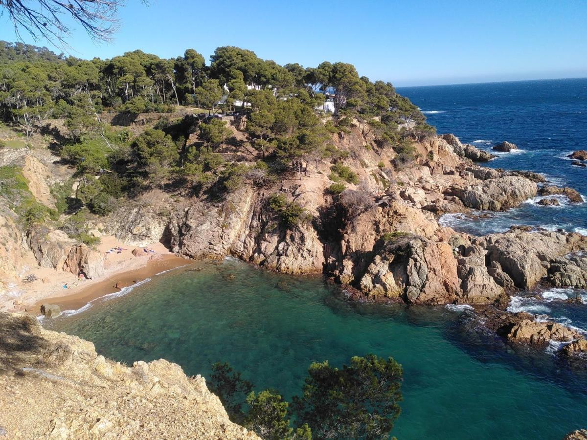 Hotel Mas Del Sol Vall-llobrega Kültér fotó