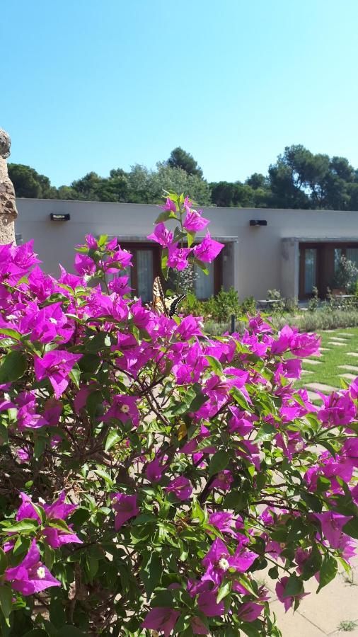 Hotel Mas Del Sol Vall-llobrega Kültér fotó