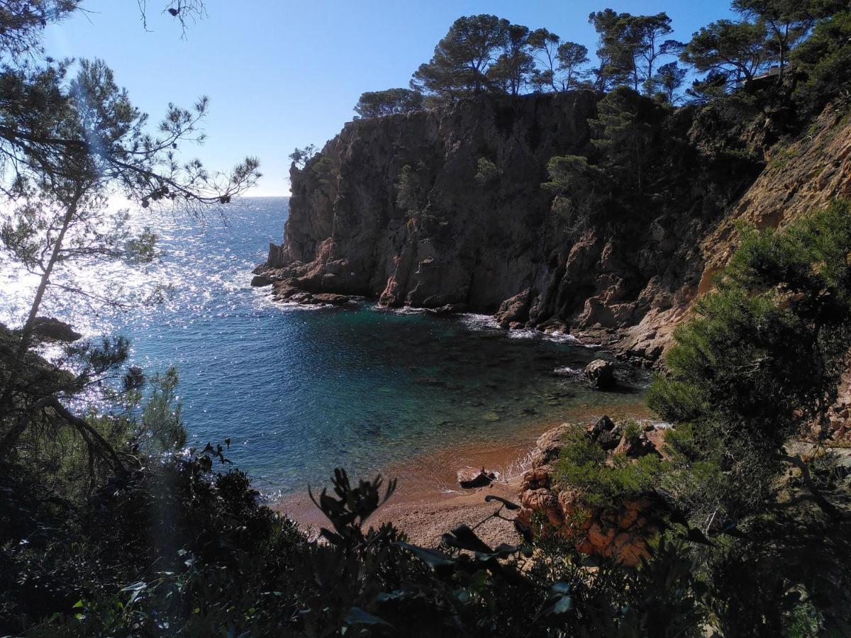 Hotel Mas Del Sol Vall-llobrega Kültér fotó
